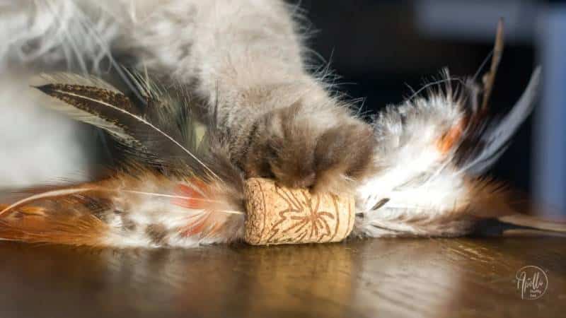 Cork and Feather Toys