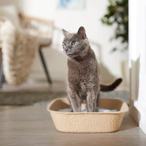 Frisco Disposable Litter Box