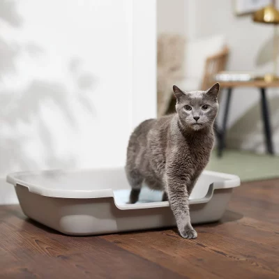 Frisco Senior and Kitten Cat Litter Box