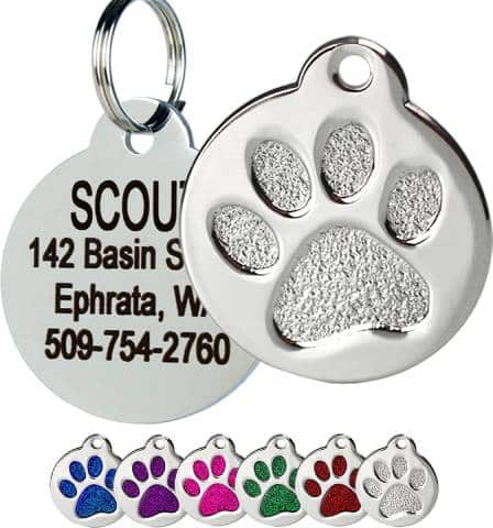 Frisco Stainless Steel Personalized Dog & Cat ID Tag