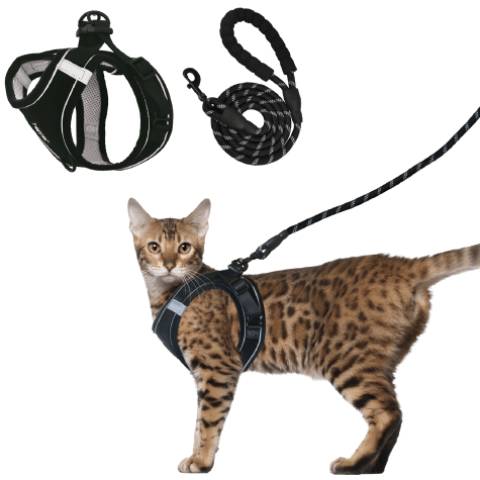 Hepper Harness and Leash Set