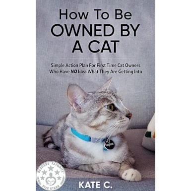 How To Be Owned By A Cat