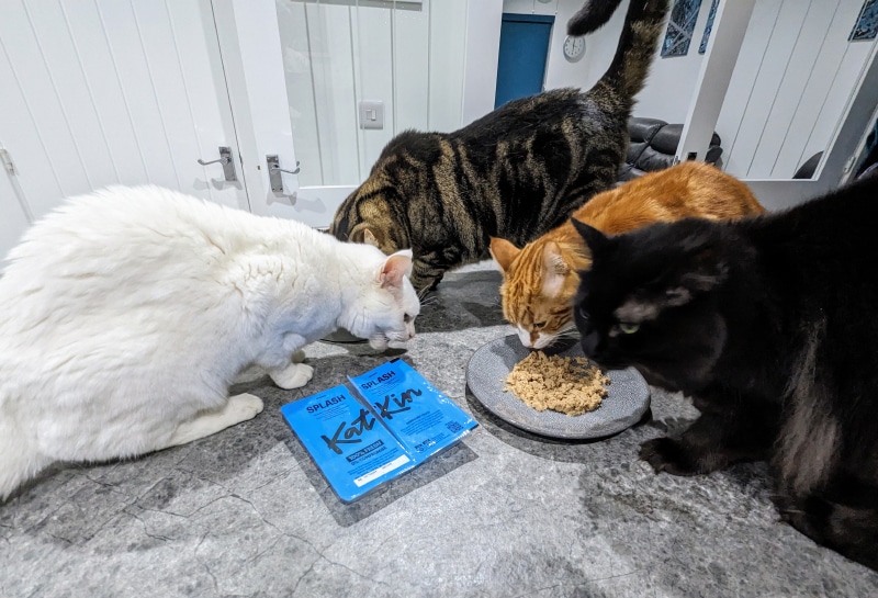 KatKin Fresh Cat Food - cats eating splash recipe