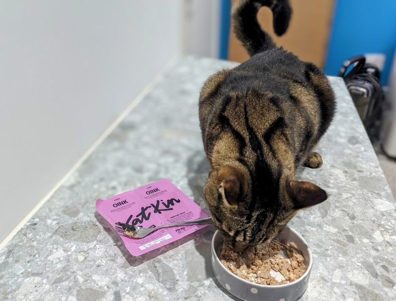 KatKin Fresh Cat Food - cyril enjoying oink recipe