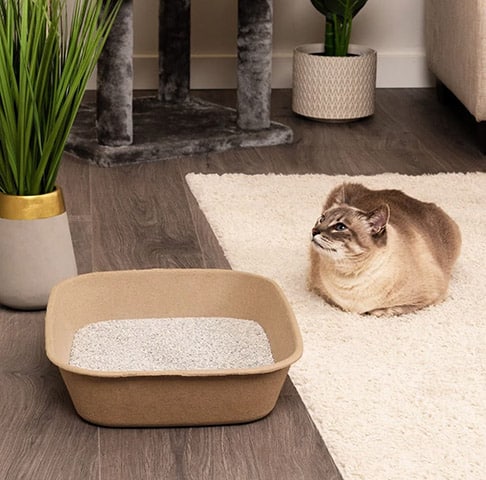 Kitty Sift Disposable Cat Litter Box