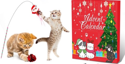 Larchio Cat Advent Calendar