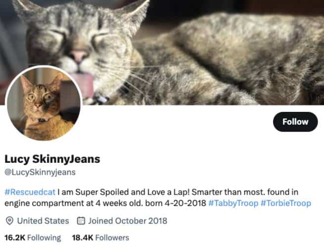 Lucy SkinnyJeans Twitter Account