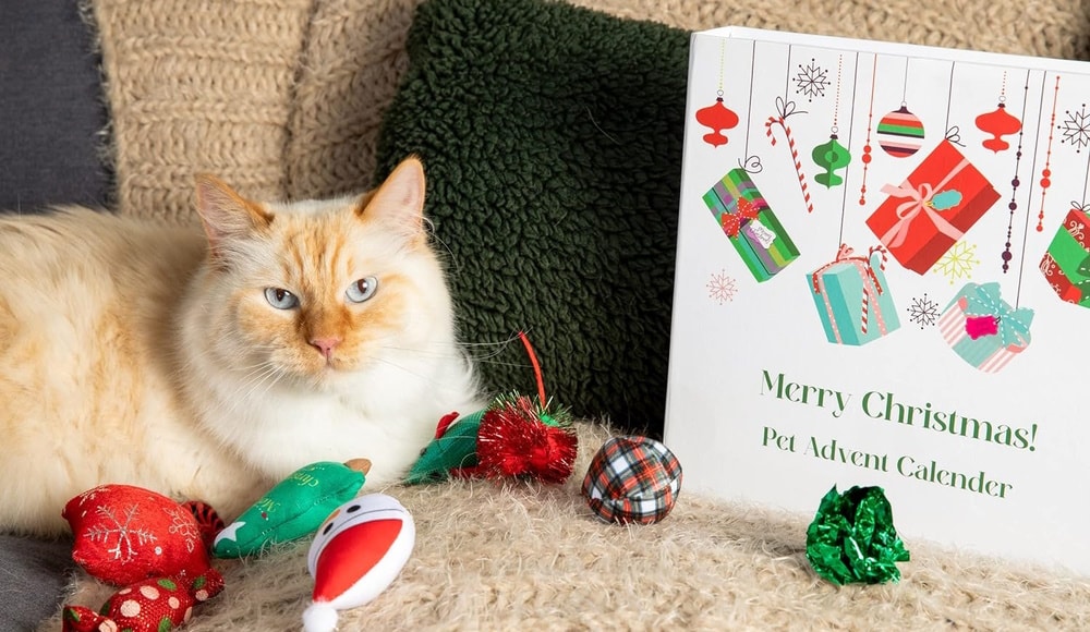 Midlee Cat Advent Calendar Gift