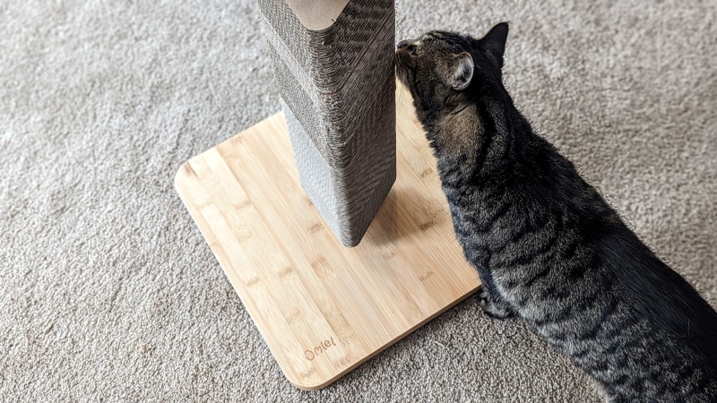 Omlet Cardboard Cat Scratching Post - tabby cat sniffing the product
