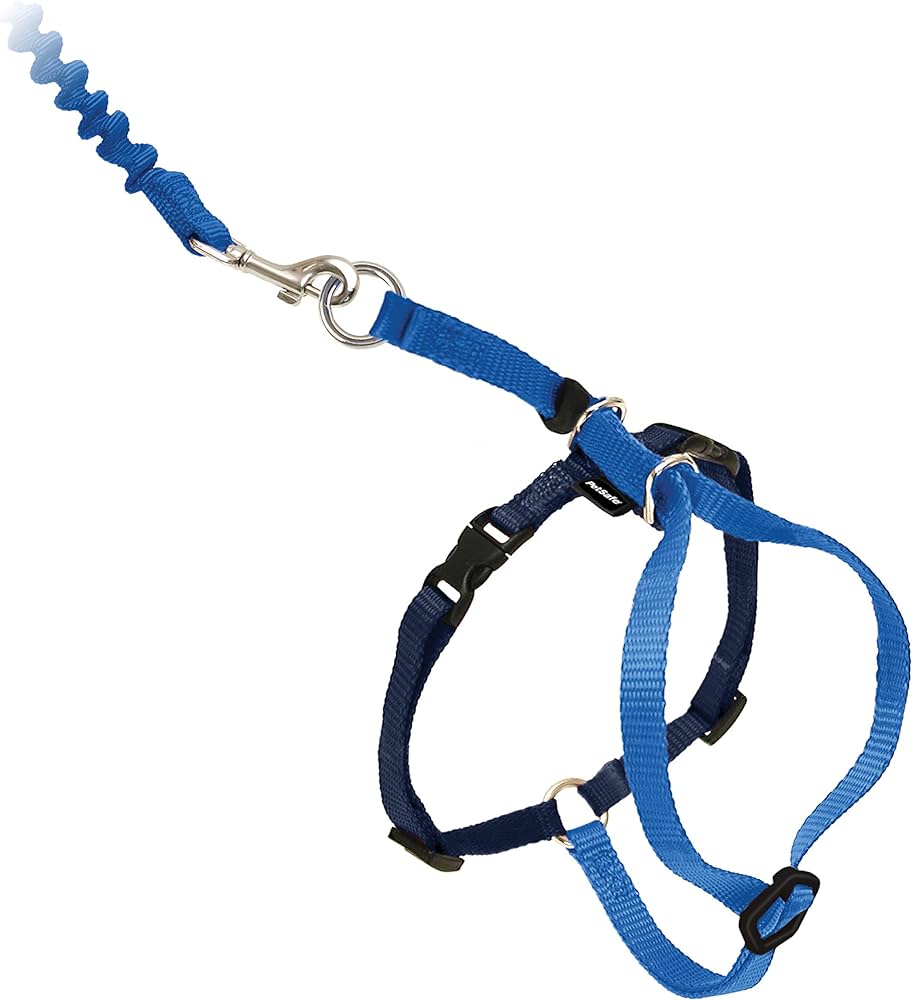 PetSafe Come with Me Kitty Nylon Cat Harness & Bungee Leash