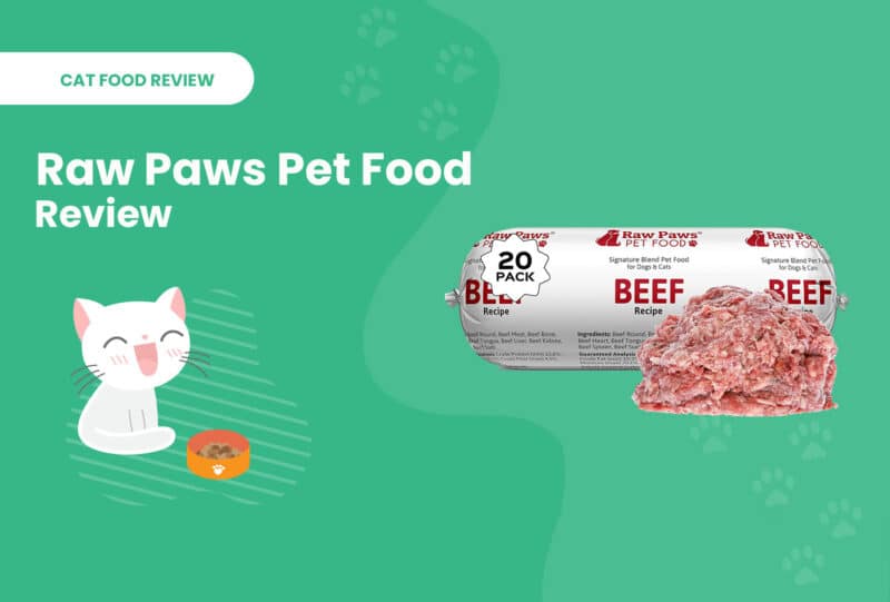 Raw Paws Pet Food Review