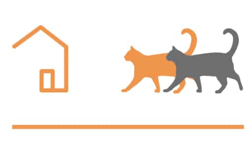 Senior Cat Action Network Logo jpg