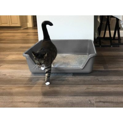 Shirley K's Senior Cat Litter Box