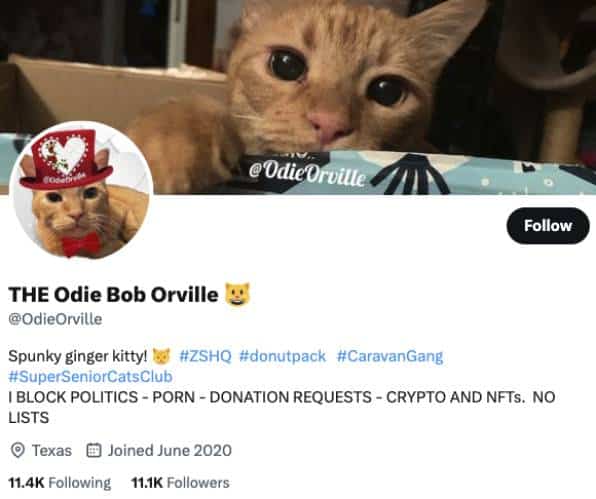 THE Odie Bob Orville Twitter Account