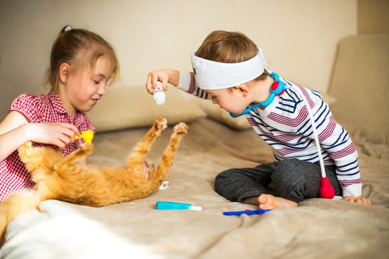 Two young kids with Autism playing with cat