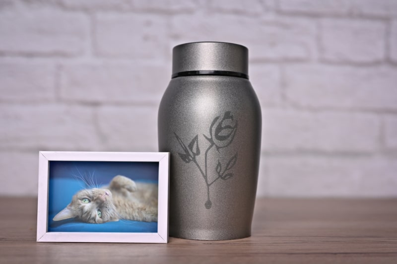 decorative urn next to a photograph of cat