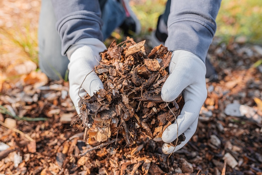 man-holding-mulch