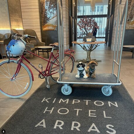 Kimpton Hotel Arras 2 dogs