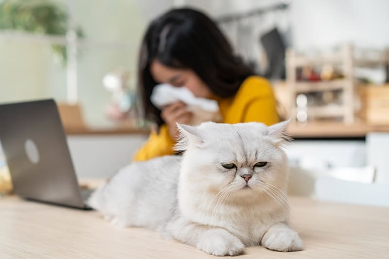 sick woman behind the cat