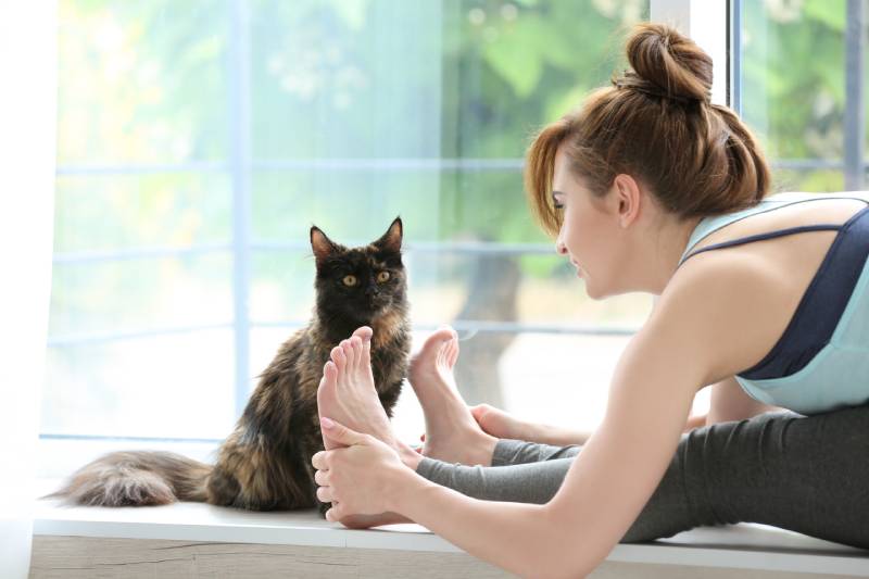 woman doing yoga pose and cat on windowsill
