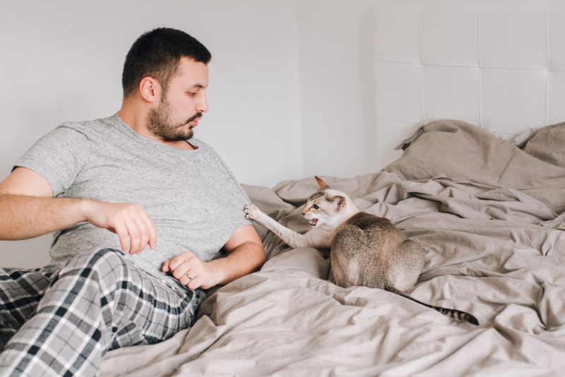 Aggresive cat scratching a man