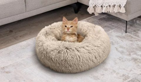 Best Friends by Sheri Donut Cat bed