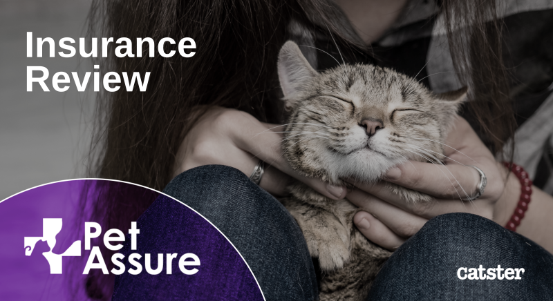 Pet Assure Mint Wellness Insurance Review