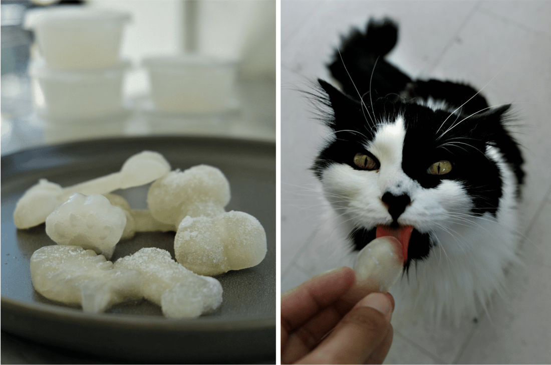 Frozen Bone Broth Cat Popsicle