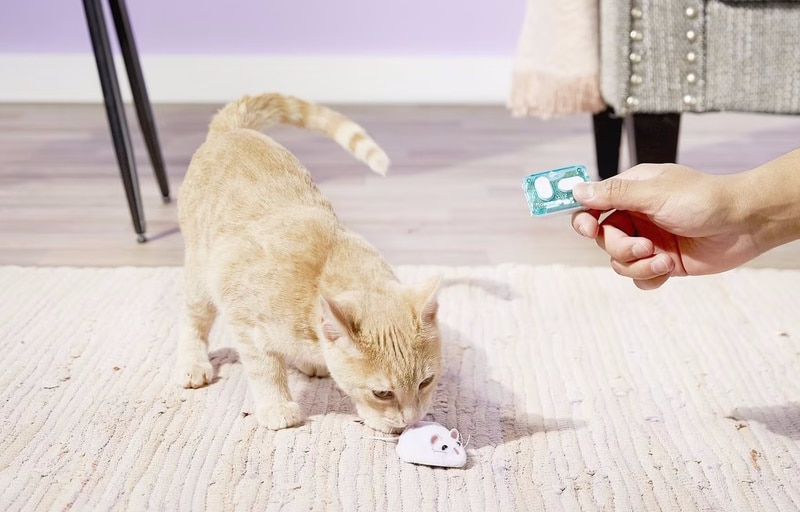 Hexbug Remote Control Mouse Cat Toy
