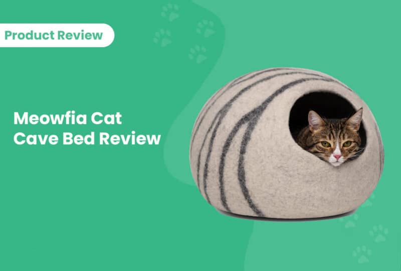 Meowfia Cat Cave Bed