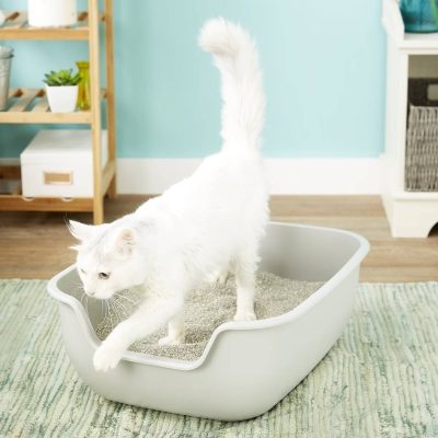 PetFusion BetterBox Non-Stick Cat Litter Box