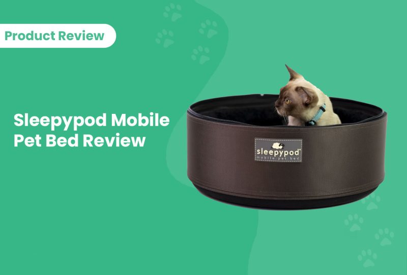 Sleepypod Mobile Pet Bed Review
