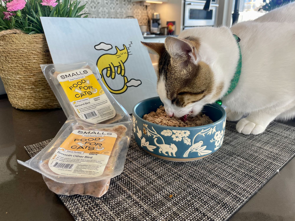 Smalls Cat Food - makoa eating from the bowl