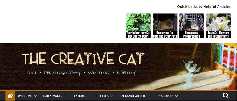 The Creative Cat Blog