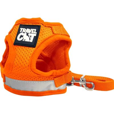 Travel Cat & Stray Cat Harness and Leash Set