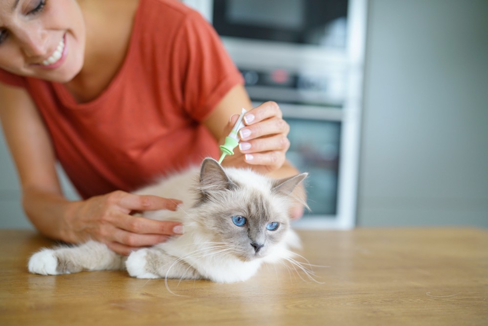 Woman injecting cat product to prevent from flea treament