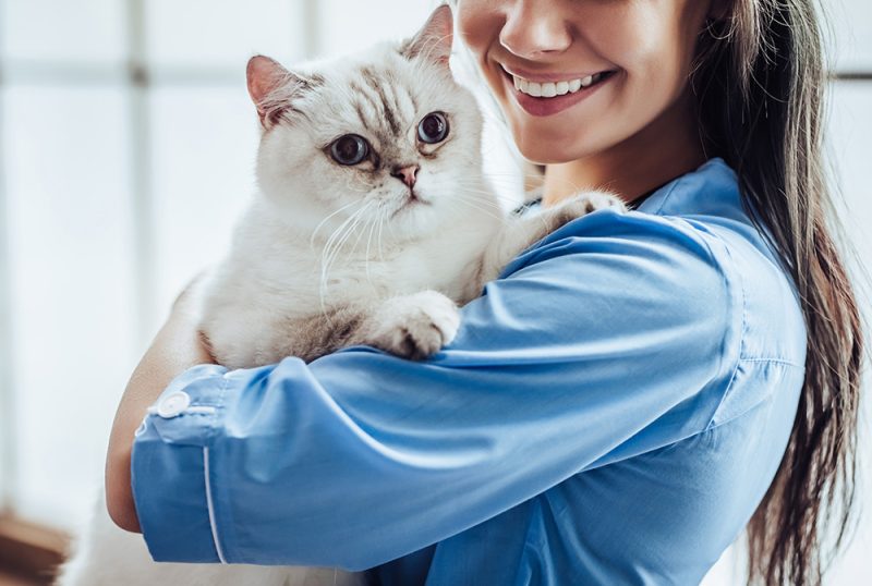 female veterinarian carrying a white cat