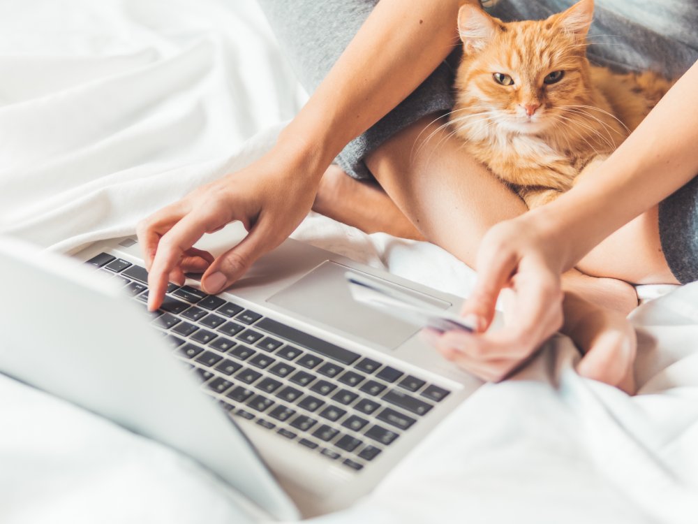 ginger cat and woman in bed using laptop