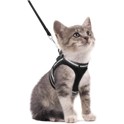 rabbitgoo Cat Harness and Leash Set