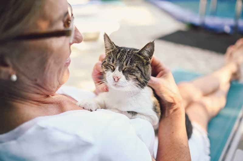 senior woman petting old cat