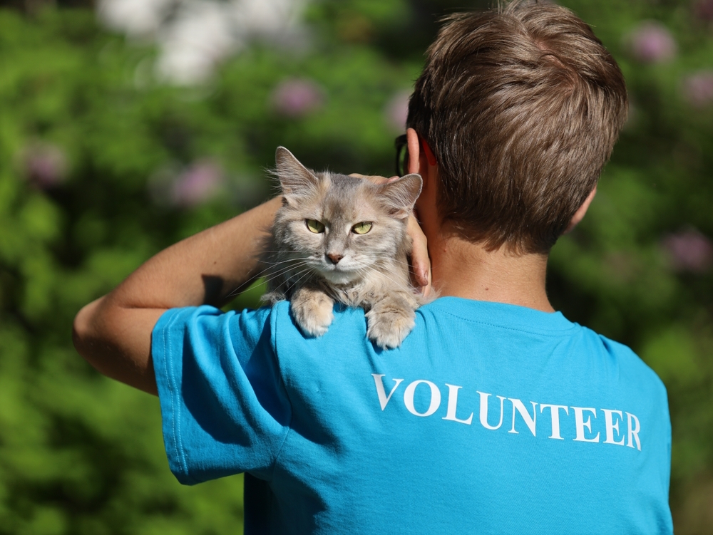 olunteer-and-stray-cat