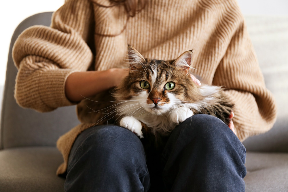 woman-petting-her-cat