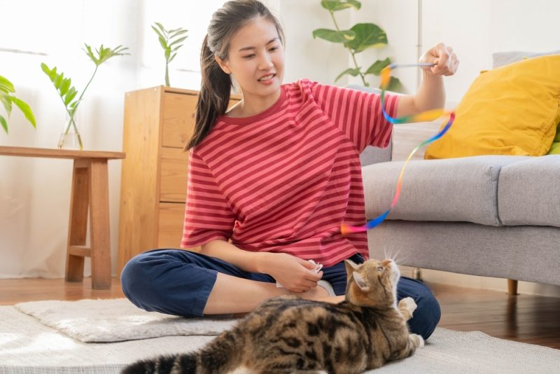 woman-playing-with-her-cat