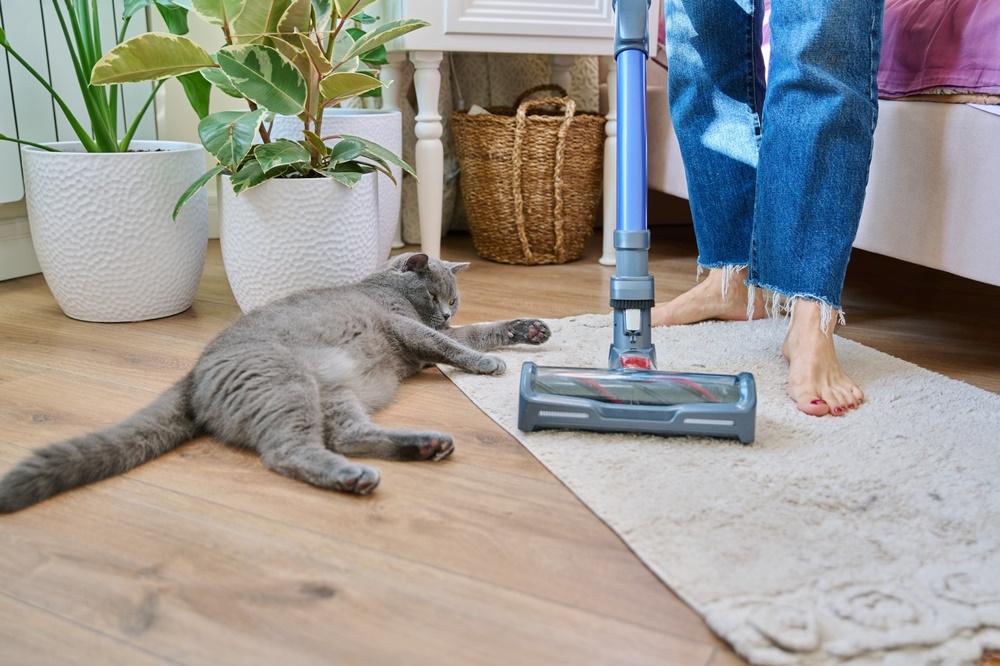 woman-using-vacuum-cleaner-near-cat