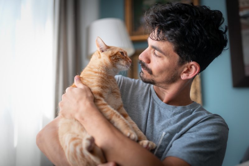 young man and brown tabby cat smell or looking each other