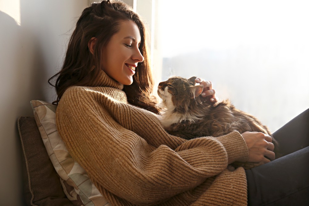 young woman holding and looking at a siberian cat with green eye