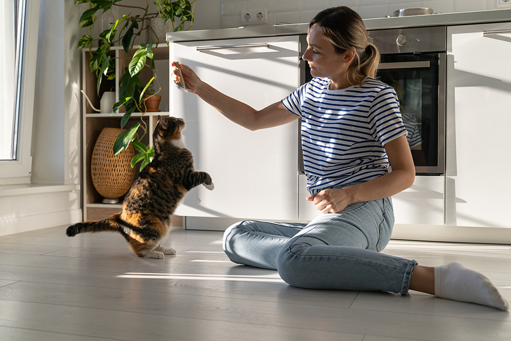 young woman training cat in the kitchen