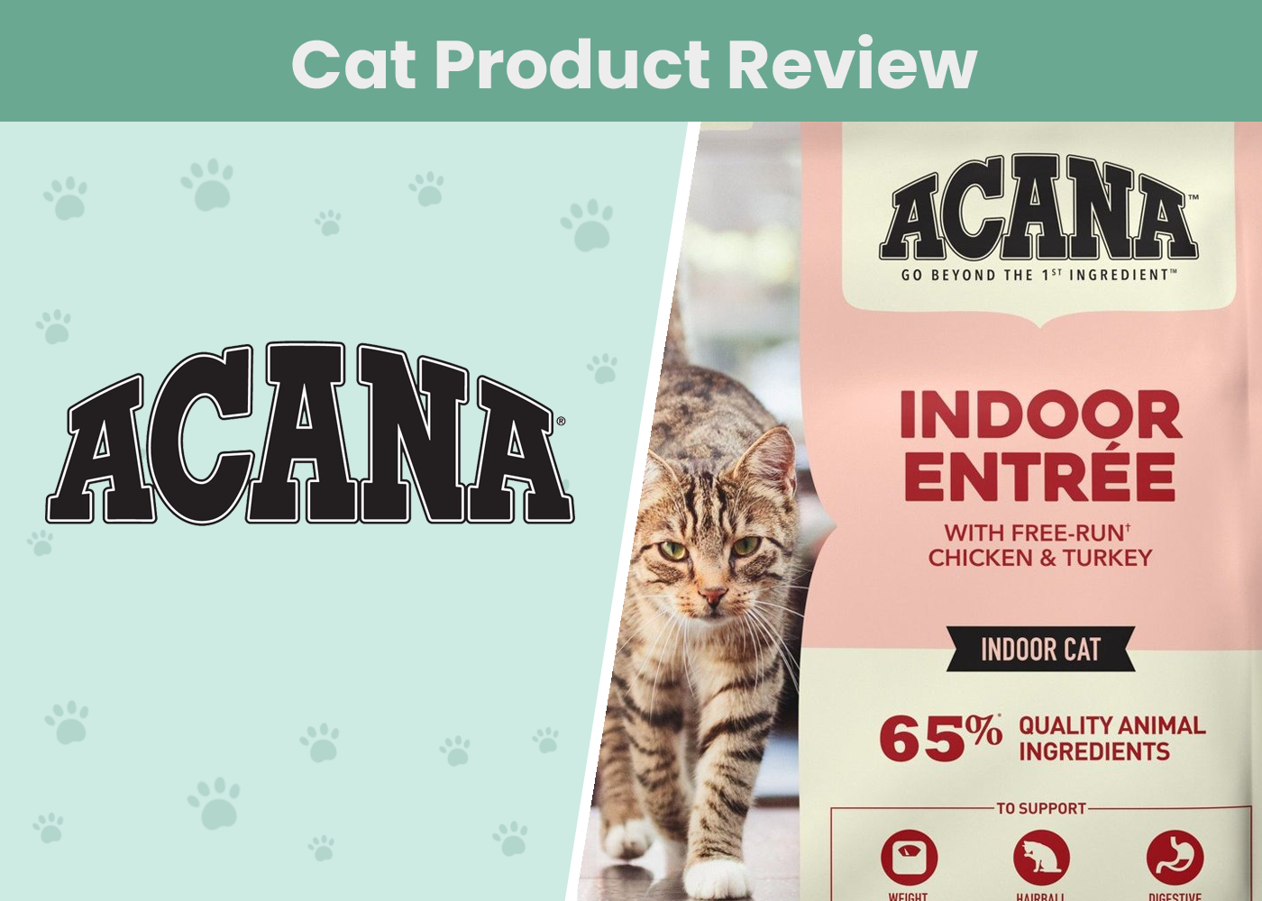 ACANA Cat Food Review
