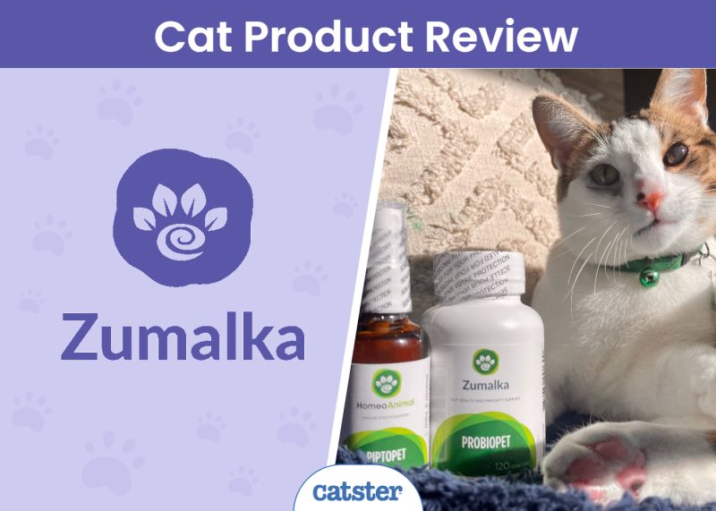 Catster_SAPR Zumalka Pet Product Supplement Review