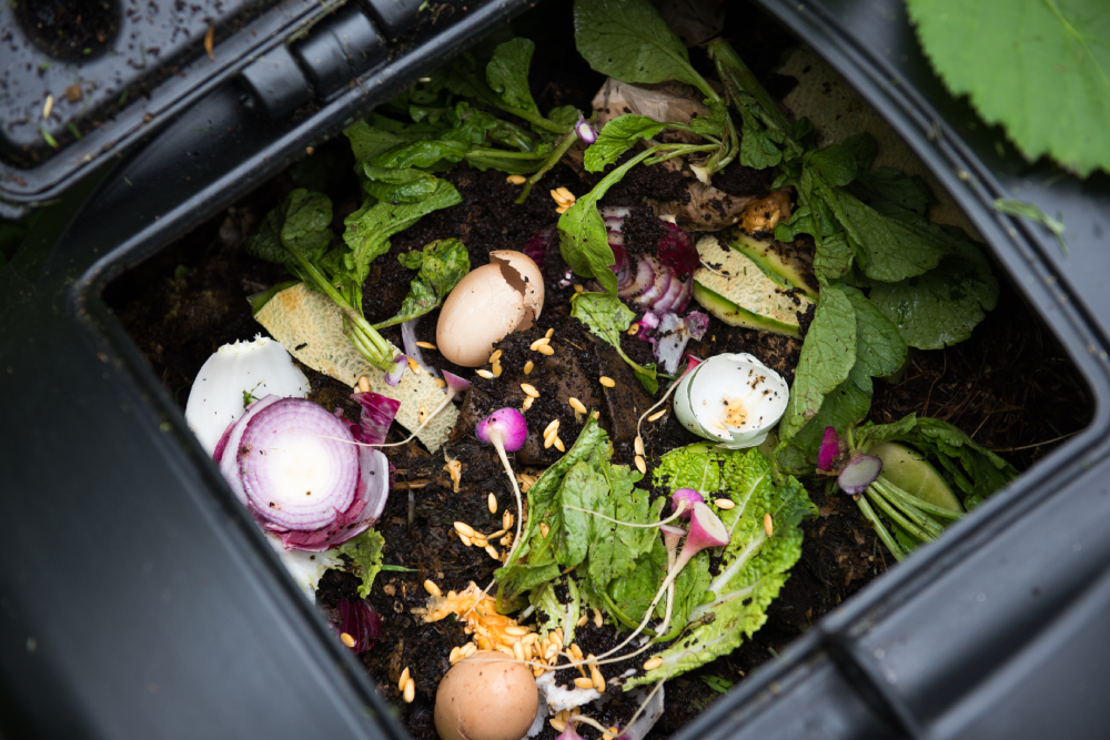 Compost Bin with Food Scraps and Grass Cuttings